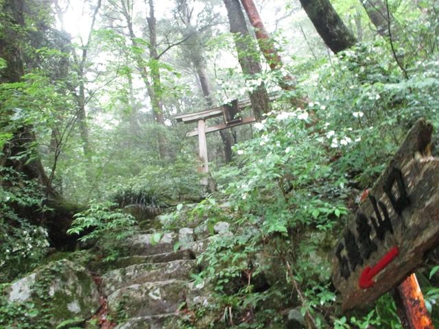 画像8: 5月28日から3日間で四国の名峰 「石鎚山と剣山」 にいってきました!