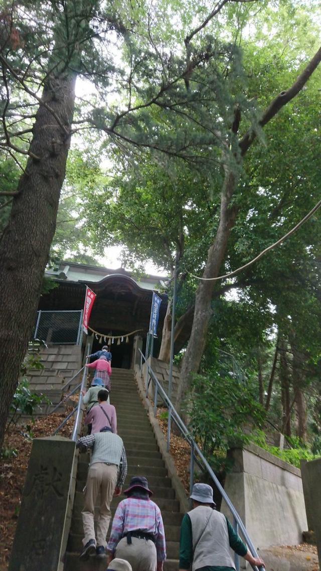 画像13: 穂苅先生のコースで、 さきたま古墳と古代蓮の里 へ久々の親子コンビで行って来ました♪