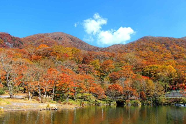 画像: 【第2回】上毛三山のひとつ・赤城山の紅葉