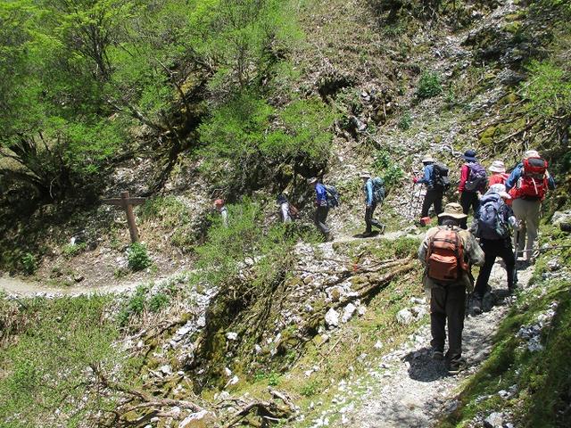 画像11: 5月28日より2泊3日で山旅会 「石鎚山と剣山」 ツアーに行ってきました!