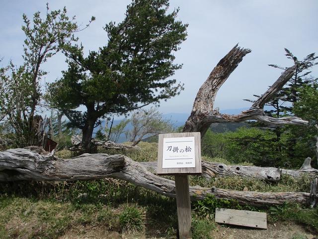 画像4: 5月28日より2泊3日で山旅会 「石鎚山と剣山」 ツアーに行ってきました!