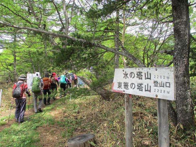 画像1: 【山旅会・登山ガイドこだわりツアー】添乗員からの便り・水ノ塔山から東篭ノ登山ツアーに行ってきました!