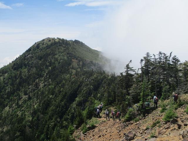 画像7: 【山旅会・登山ガイドこだわりツアー】添乗員からの便り・水ノ塔山から東篭ノ登山ツアーに行ってきました!
