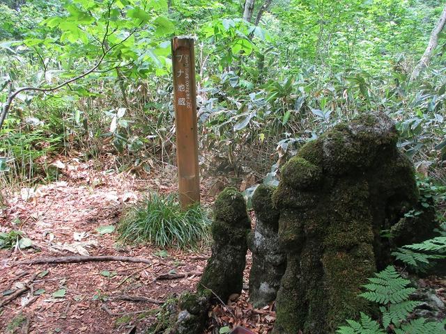 画像14: 岡田ガイドのハイキングコースで 「玉原湿原」 へ行ってきました♪