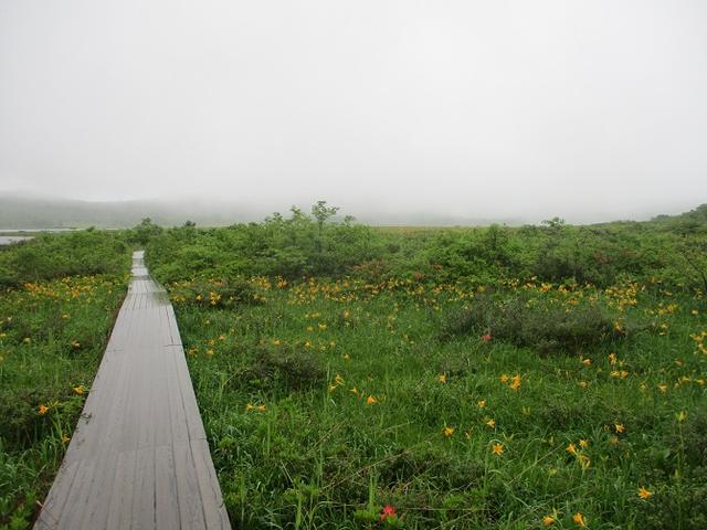 画像6: 6月24日より山旅会 「雄国沼と西吾妻山」 ツアーに行ってきました!