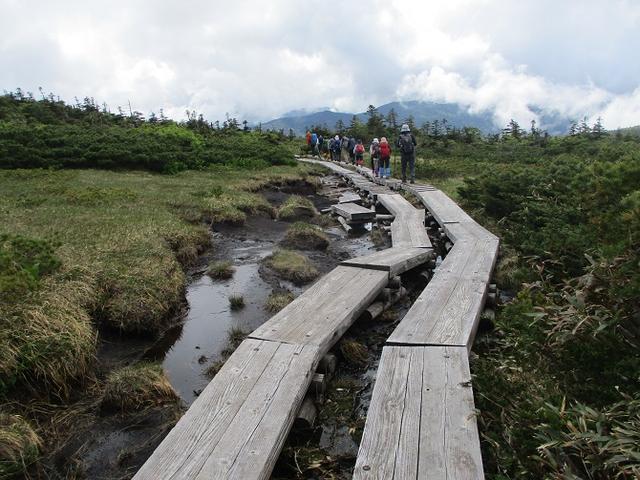 画像3: 6月24日より 「雄国沼と西吾妻山」 ツアーに行ってきました!