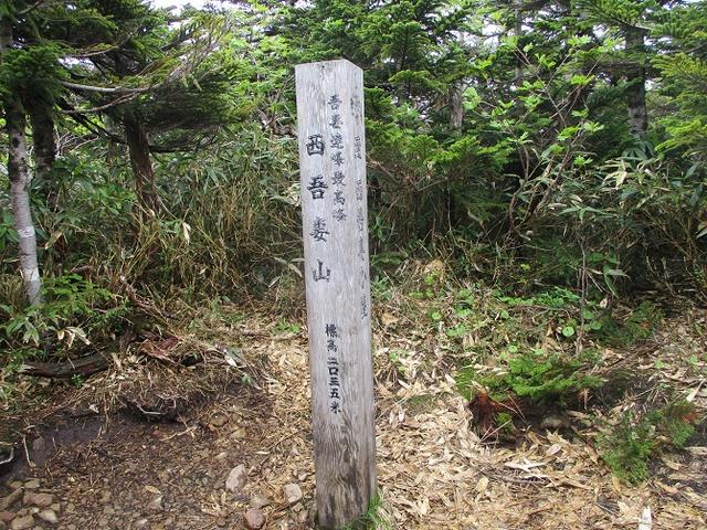 画像12: 6月24日より 「雄国沼と西吾妻山」 ツアーに行ってきました!