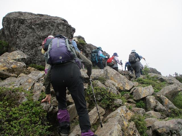 画像11: 6月24日より 「雄国沼と西吾妻山」 ツアーに行ってきました!