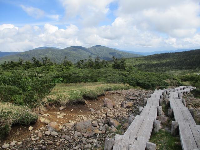画像16: 6月24日より 「雄国沼と西吾妻山」 ツアーに行ってきました!