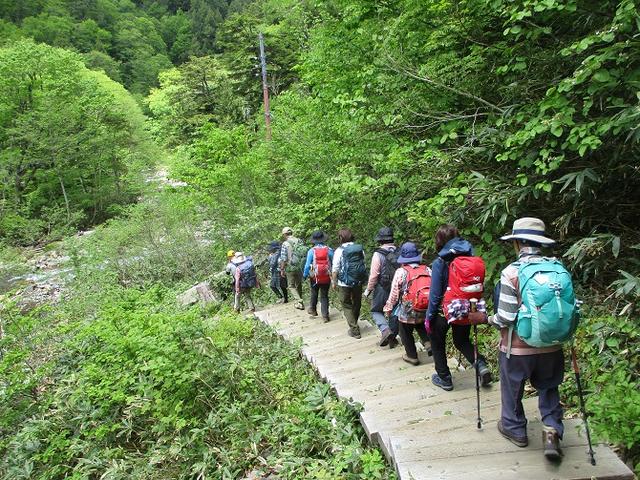 画像2: 6月20日・21日に岡田ガイドのコースで 尾瀬 へ行ってきました♪
