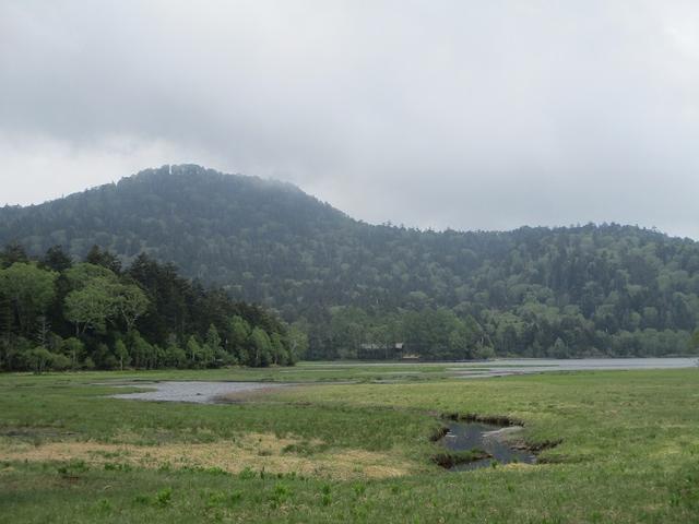 画像9: 6月20日から山旅会 「尾瀬ヶ原から尾瀬沼」 ツアーに行ってきました!