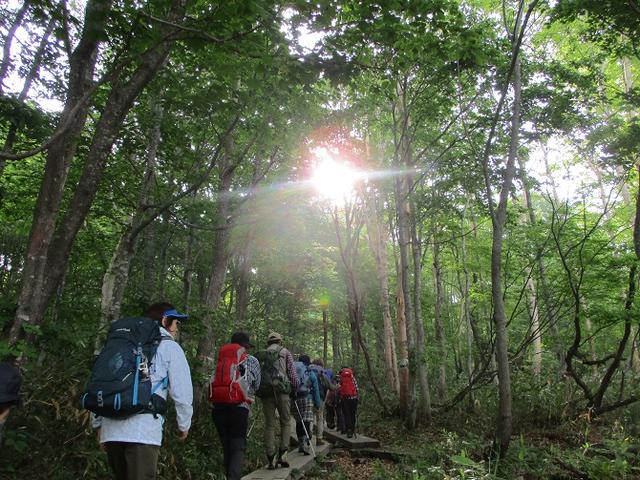 画像2: 6月20日から山旅会 「尾瀬ヶ原から尾瀬沼」 ツアーに行ってきました!