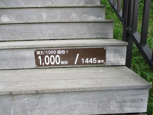 画像5: 6月28日に山旅会 「丸山」 ツアーに行ってきました!