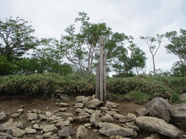 画像7: 6月28日に山旅会 「丸山」 ツアーに行ってきました!