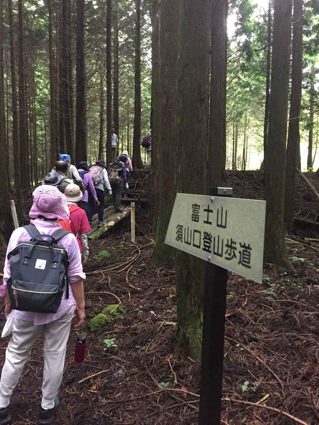 画像7: 富士山すそ野ぐるり一周ウォーク 第5回をご紹介します!