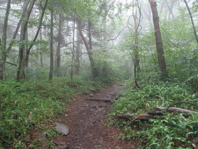 画像1: 7月の山旅会 「飯盛山」 ツアーの下見に行ってきました!