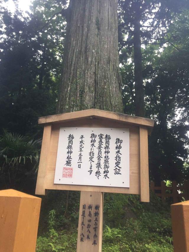 画像5: 富士山すそ野ぐるり一周ウォーク 第5回をご紹介します!
