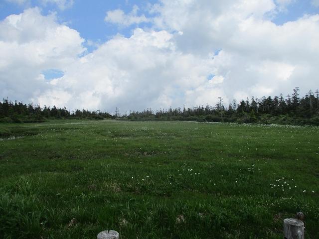 画像4: 7月の山旅会「八幡平・八甲田山・森吉山」のツアーの下見に行ってきました!