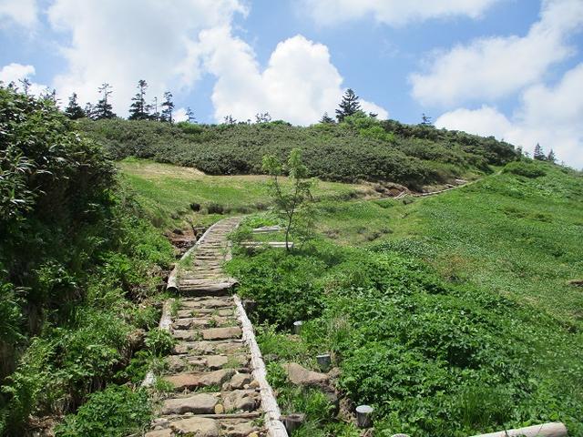 画像5: 7月の山旅会「八幡平・八甲田山・森吉山」のツアーの下見に行ってきました!