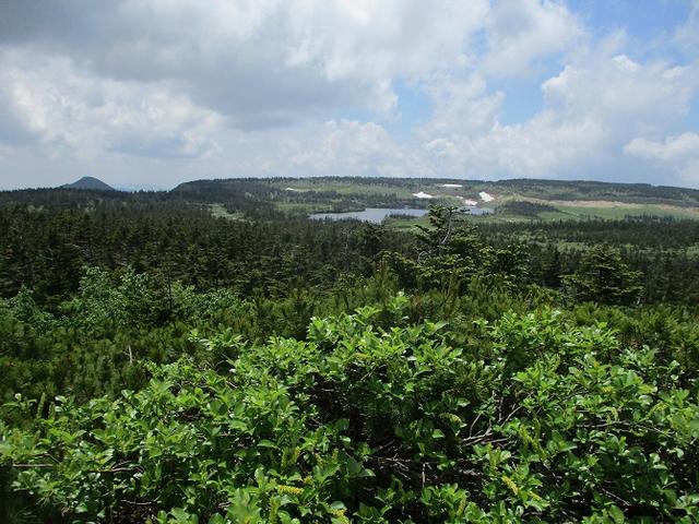 画像6: 7月の山旅会「八幡平・八甲田山・森吉山」のツアーの下見に行ってきました!