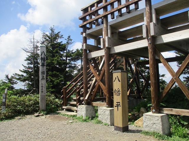 画像9: 7月の山旅会「八幡平・八甲田山・森吉山」のツアーの下見に行ってきました!