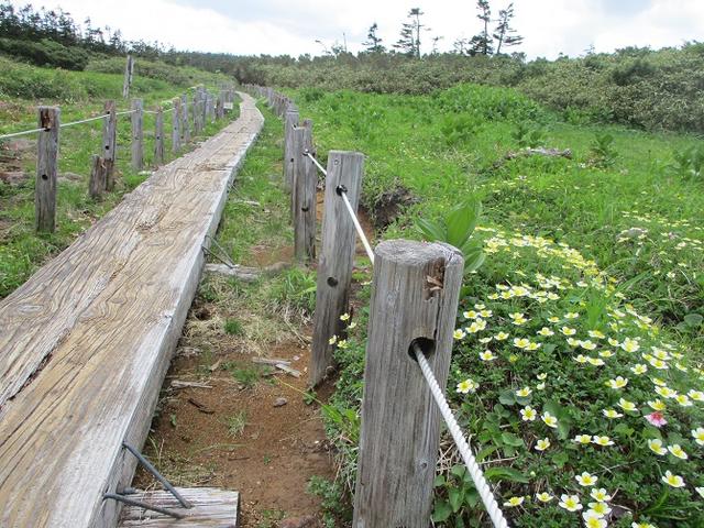 画像7: 7月の山旅会「八幡平・八甲田山・森吉山」のツアーの下見に行ってきました!