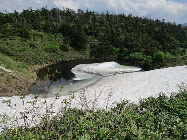 画像10: 7月の山旅会「八幡平・八甲田山・森吉山」のツアーの下見に行ってきました!