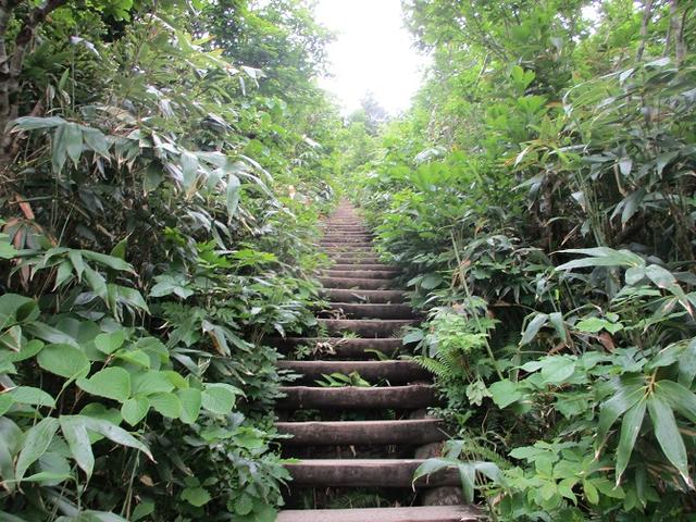 画像5: 7月の山旅会 「八幡平・八甲田山・森吉山」 ツアーの下見に行ってきました!