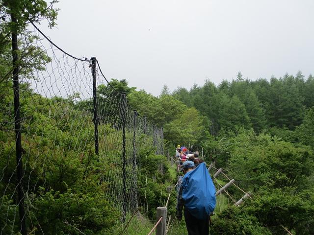 画像9: 7月2日に岡田ガイドのコースで山梨県にたたずむ櫛形山へいってきました♪