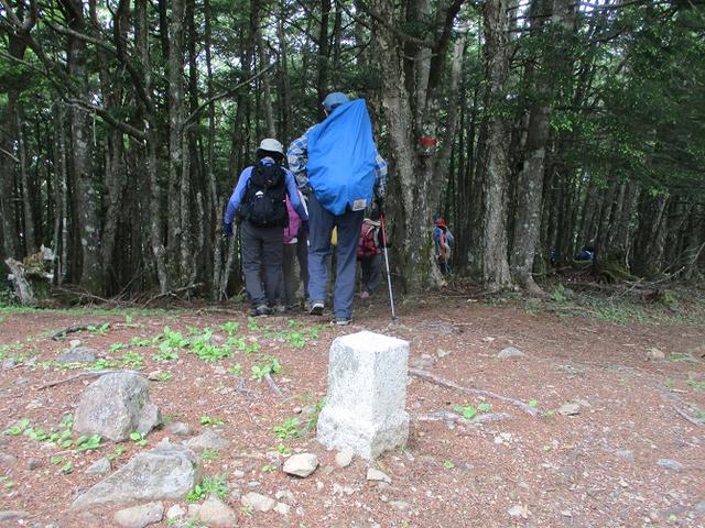 画像4: 7月2日に岡田ガイドのコースで山梨県にたたずむ櫛形山へいってきました♪