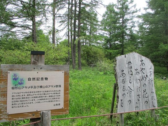 画像13: 7月2日に岡田ガイドのコースで山梨県にたたずむ櫛形山へいってきました♪