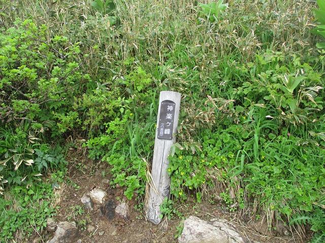 画像5: 7月の山旅会 「苗場山」 ツアーの下見にいってきました!