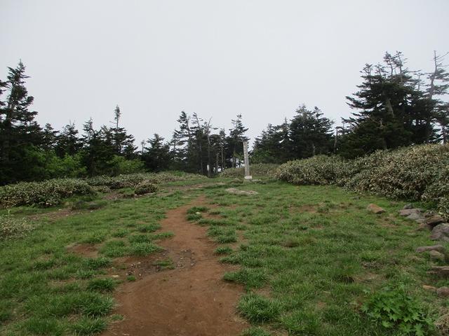画像11: 7月の山旅会 「苗場山」 ツアーの下見にいってきました!