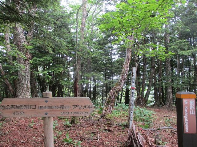 画像5: 7月2日に岡田ガイドのコースで山梨県にたたずむ櫛形山へいってきました♪