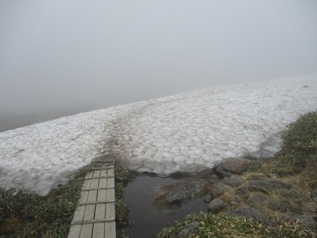 画像8: 7月の山旅会 「苗場山」 ツアーの下見にいってきました!