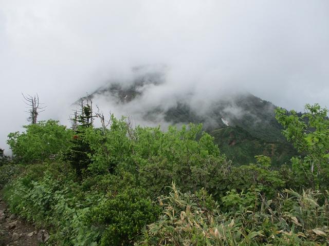 画像6: 7月の山旅会 「苗場山」 ツアーの下見にいってきました!