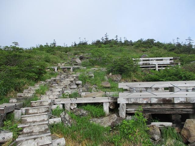 画像4: 7月の山旅会 「苗場山」 ツアーの下見にいってきました!