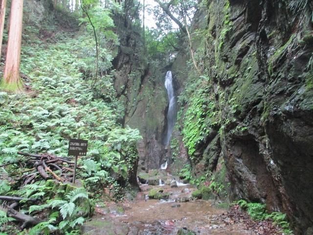 画像7: 7月6日に山旅会現地集合 「関八州見晴台から黒山三滝」 ツアーにいってきました!