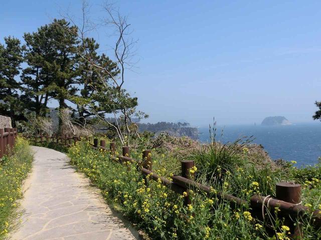 画像: 『ウェドルゲ海岸線コース』は植物も楽しめます