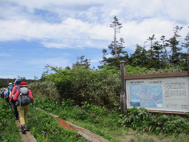 画像2: 7月9日から11日で岡田ガイドと東北の花の名山をめぐるに行ってきました!