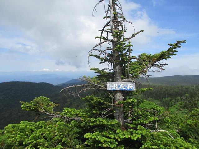 画像9: 7月9日から11日で岡田ガイドと東北の花の名山をめぐるに行ってきました!