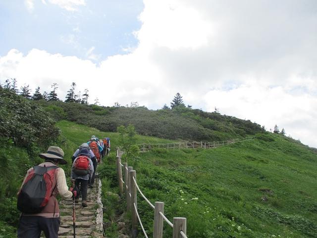 画像8: 7月9日から11日で岡田ガイドと東北の花の名山をめぐるに行ってきました!
