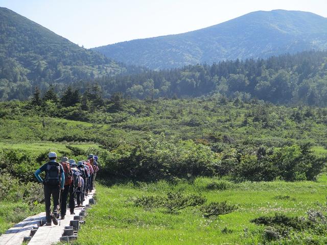 画像10: 7月9日~11日で八幡平・八甲田山・森吉山ツアーにいってきました!
