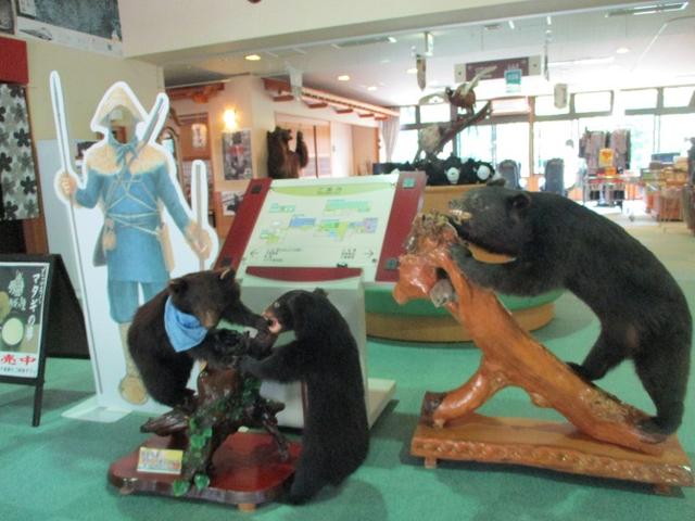 画像10: 7月9日~11日で八幡平・八甲田山・森吉山ツアーにいってきました!