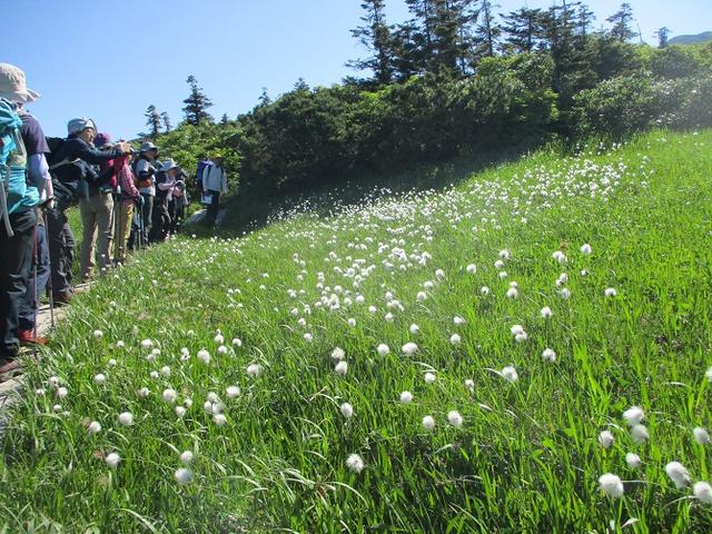 画像13: 7月9日~11日で八幡平・八甲田山・森吉山ツアーにいってきました!