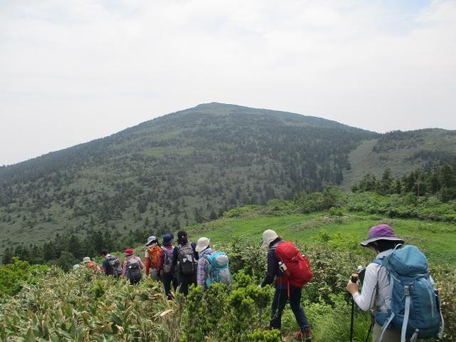 画像2: 7月9日~11日で八幡平・八甲田山・森吉山ツアーに行ってきました!