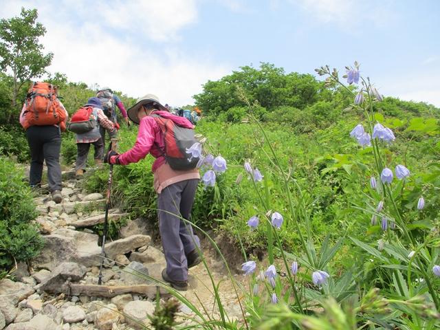 画像8: 7月9日~11日で八幡平・八甲田山・森吉山ツアーに行ってきました!