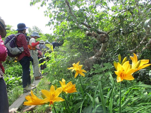画像9: 7月9日~11日で八幡平・八甲田山・森吉山ツアーに行ってきました!