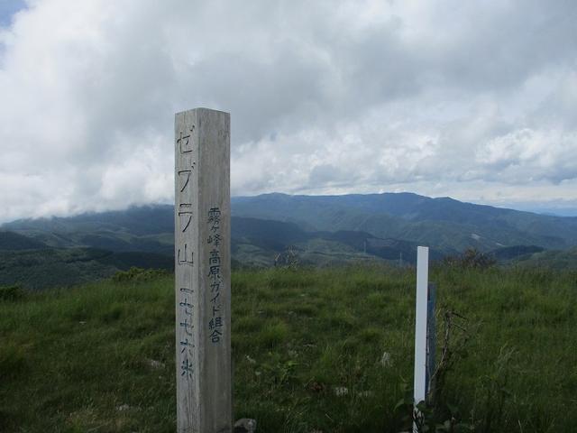 画像10: 7月12日に岡田ガイドのハイキングコースで 霧ヶ峰の男女倉山 へ行ってきました♪