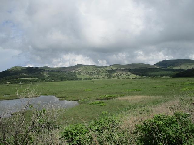 画像15: 7月12日に岡田ガイドのハイキングコースで 霧ヶ峰の男女倉山 へ行ってきました♪